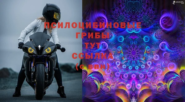 дживик Белоозёрский
