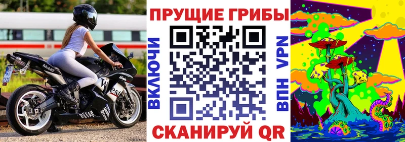 купить закладку  Южноуральск  Галлюциногенные грибы прущие грибы 